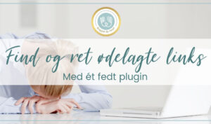 blogger har fundet ødelagte links på sin blog